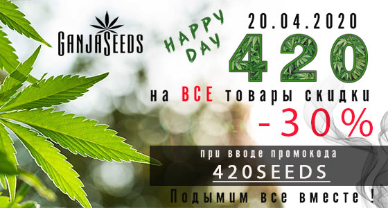 GanjaSeeds празднует Международный День Марихуаны GanjaSeeds празднует Международный День Марихуаны