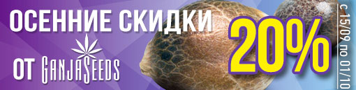 Семена конопли по скидкам Семена конопли по скидкам