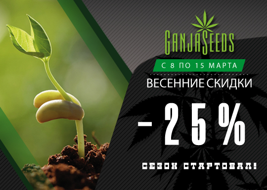 Весенняя акция - скидки на семена каннабиса и споры грибов  Весенняя акция - скидки на семена каннабиса и споры грибов