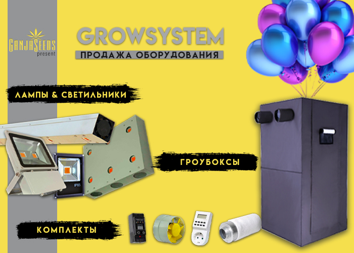 BangSeeds открывает гроушоп BangSeeds открывает гроушоп