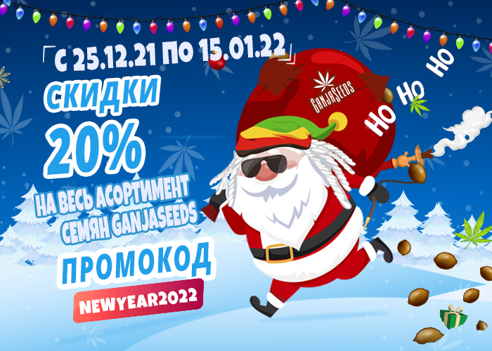 Дарим подарки от известных бридеров!  Дарим подарки от известных бридеров!