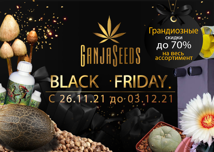 Black Friday, потрясающие цены и огромный выбор! Black Friday, потрясающие цены и огромный выбор!