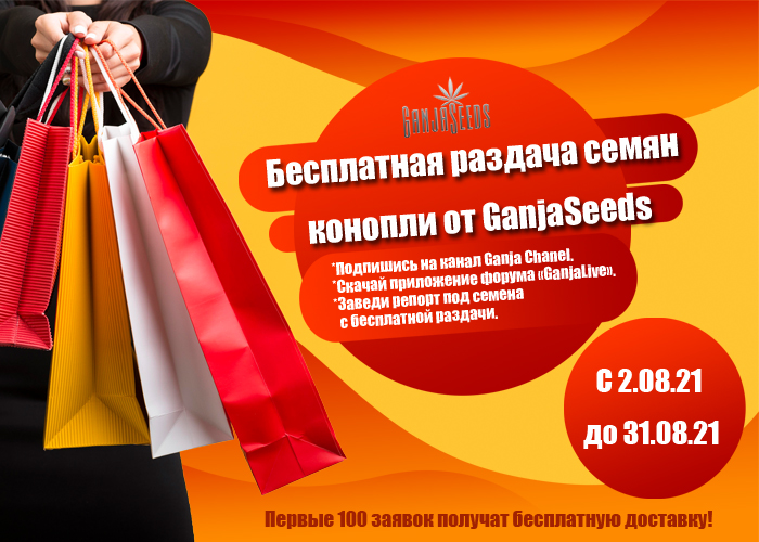 Только в августе! Качественные семена конопли бесплатно! Только в августе! Качественные семена конопли бесплатно!