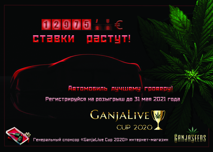 Как не прозевать победу и заполучить авто на «GanjaLive Cup 2020»   Как не прозевать победу и заполучить авто на «GanjaLive Cup 2020»