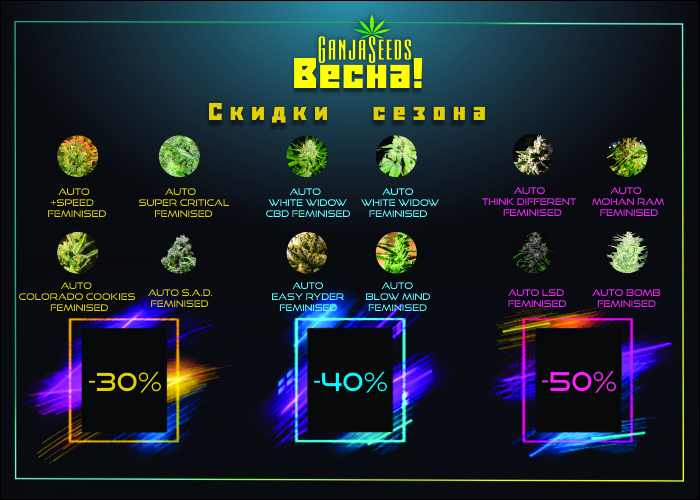 Скидки на семена конопли GanjaSeeds до 50%! Скидки на семена конопли GanjaSeeds до 50%!