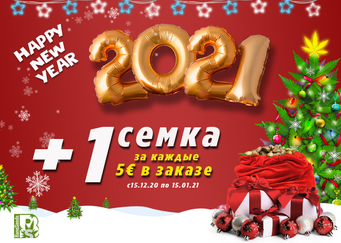 Новый Год Новый Год