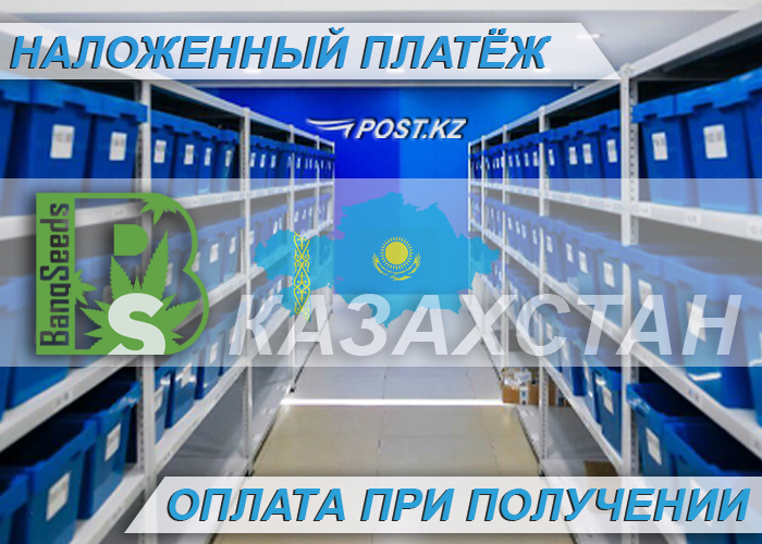 Семена конопли наложенным платежом Семена конопли наложенным платежом