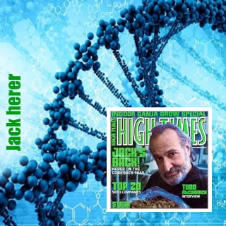 Jack Herer  Jack Herer