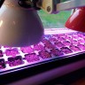Фитолампа Green Grow 10 Вт купить Фитолампа Green Grow 10 Вт купить