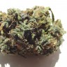 Семена конопли  White Blueberry Pie feminised Ganja Seeds Семена конопли  White Blueberry Pie feminised Ganja Seeds