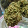 купить семена конопли Auto Hindu Kush feminised купить семена конопли Auto Hindu Kush feminised