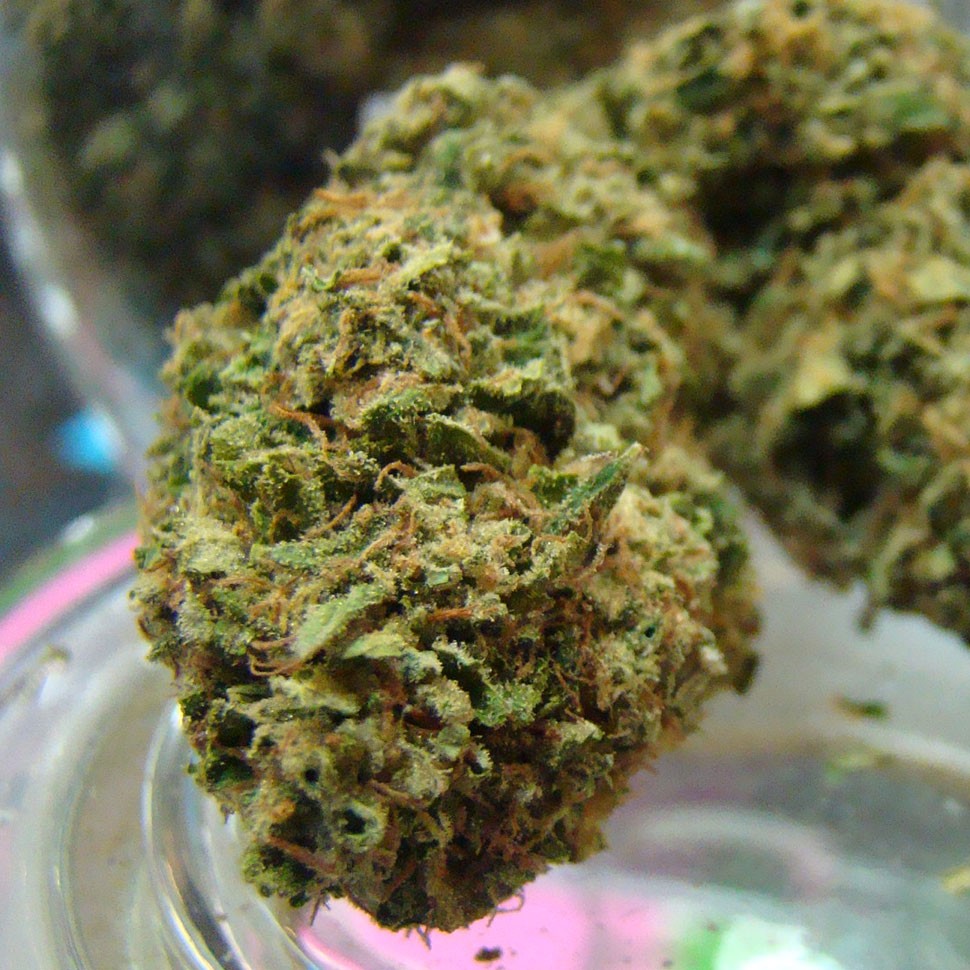 купить семена конопли Auto Hindu Kush feminised купить семена конопли Auto Hindu Kush feminised