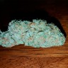 Семена  Auto Hell's Angel OG feminised Ganja Seeds Семена  Auto Hell's Angel OG feminised Ganja Seeds