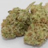 Grapefruit Haze feminised Ganja Seeds Grapefruit Haze feminised Ganja Seeds