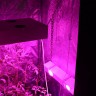 Гроубокс в сборе Джин 1400х1400х2000 + Гагарин 3 для выращивания марихуаны Гроубокс в сборе Джин 1400х1400х2000 + Гагарин 3 для выращивания марихуаны