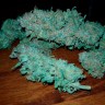 Auto Sweet Trainwreck feminised Ganja Seeds заказать Auto Sweet Trainwreck feminised Ganja Seeds заказать