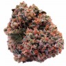 Семена  Purple OG feminised Ganja Seeds Семена  Purple OG feminised Ganja Seeds