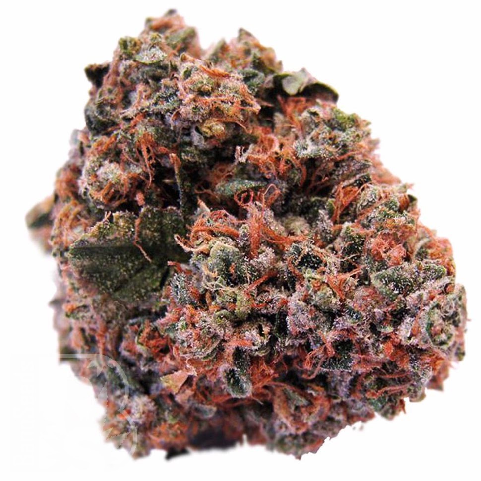 Семена  Purple OG feminised Ganja Seeds Семена  Purple OG feminised Ganja Seeds