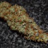 заказать семена конопли наложенным платежом Auto Big Bud feminised заказать семена конопли наложенным платежом Auto Big Bud feminised
