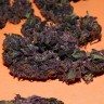 феминизированные семена конопли Auto Bloody Skunk feminised Ganja Seeds феминизированные семена конопли Auto Bloody Skunk feminised Ganja Seeds