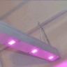 Линейный светодиодный фитосветильник LED Союз 2 с доставкой Линейный светодиодный фитосветильник LED Союз 2 с доставкой