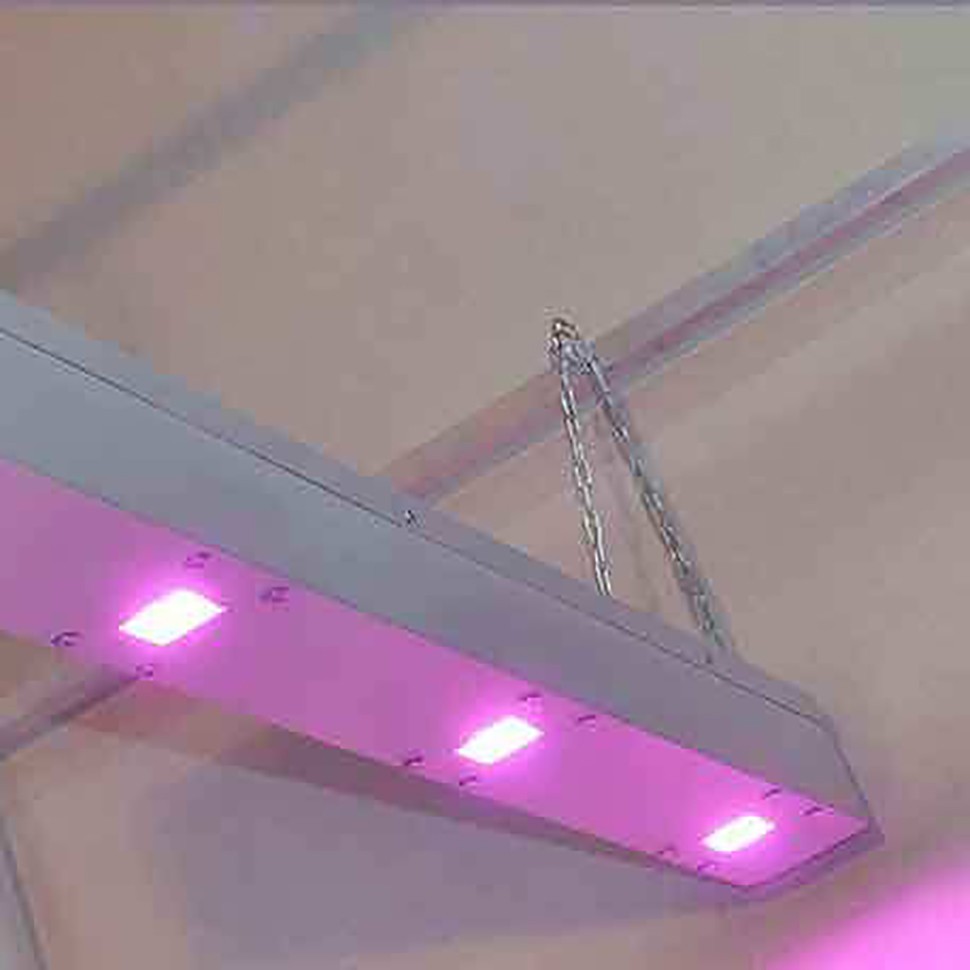 Линейный светодиодный фитосветильник LED Союз 2 с доставкой Линейный светодиодный фитосветильник LED Союз 2 с доставкой