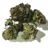 Blue Himalaya feminised Ganja Seeds Blue Himalaya feminised Ganja Seeds