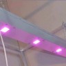 Линейный светодиодный фитосветильник LED Союз 4 недорого Линейный светодиодный фитосветильник LED Союз 4 недорого