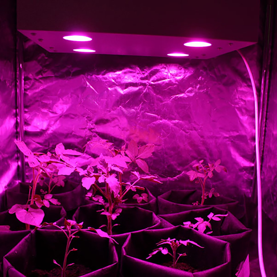 Светодиодный фитосветильник LED Гагарин 1 для выращивания марихуаны Светодиодный фитосветильник LED Гагарин 1 для выращивания марихуаны